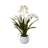 Kunstpflanze Cambria-Orchidee weiß Kunststoff B/H/L: ca. 17x55x17 cm Cambria-Orchidee - weiß (17,00/17,00/55,00cm)