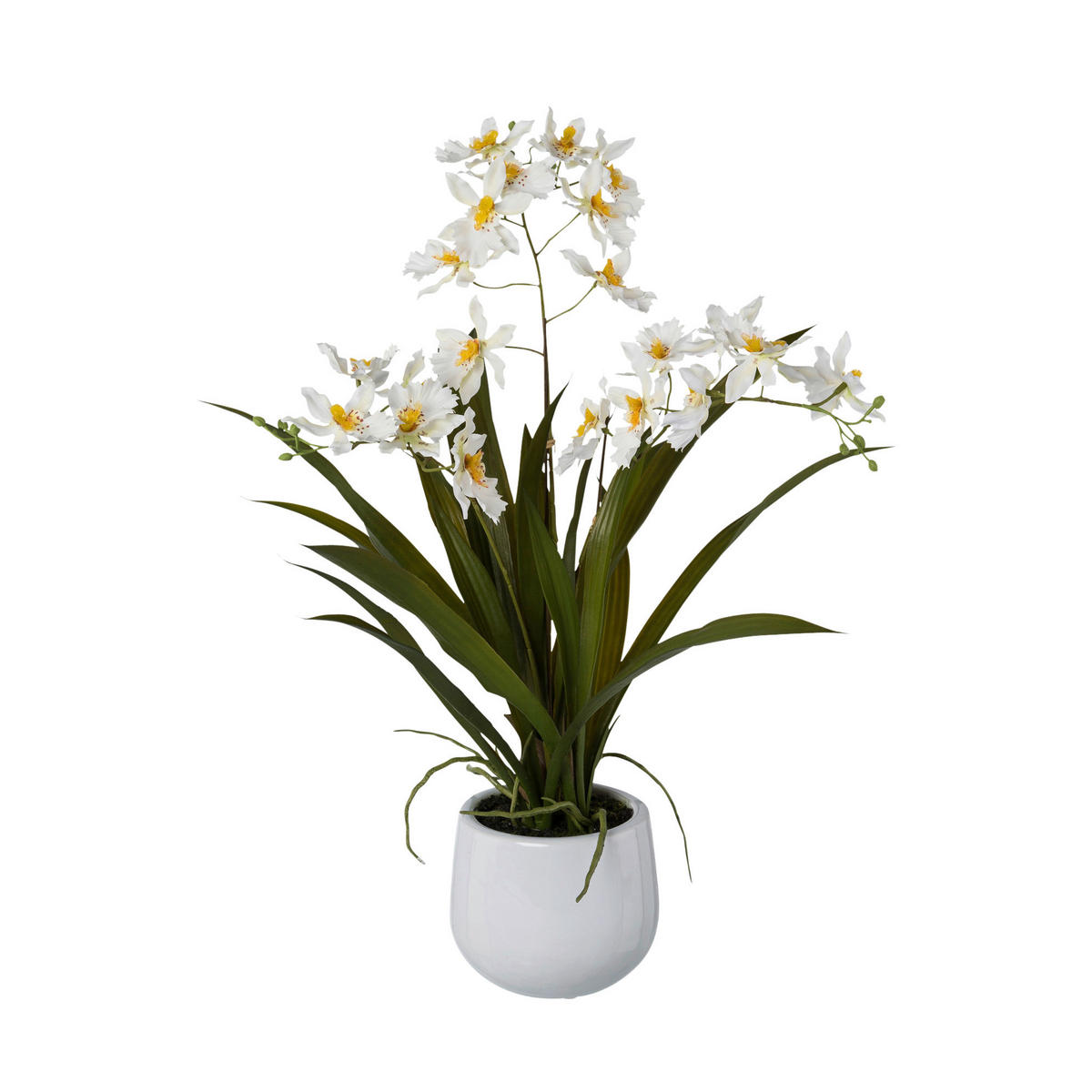 Kunstpflanze Cambria-Orchidee weiß Kunststoff B/H/L: ca. 17x55x17 cm Cambria-Orchidee - weiß (17,00/17,00/55,00cm)