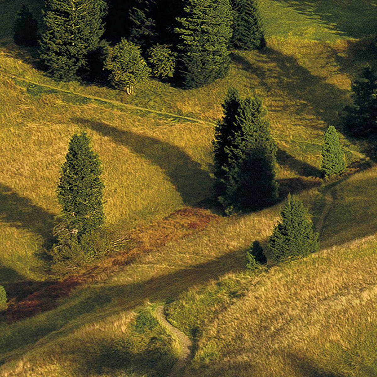 Komar Fototapete Alpen B/L: ca. 400x250 cm Alpen - (400,00/250,00cm) - Komar