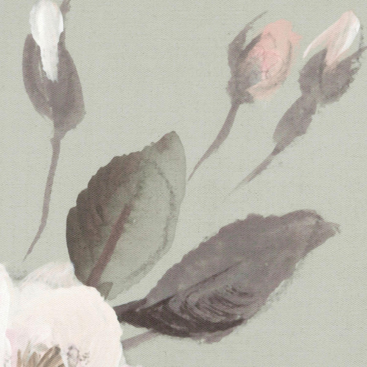 Komar Fototapete Rosellia B/L: ca. 350x250 cm Rosellia - (350,00/250,00cm) - Komar