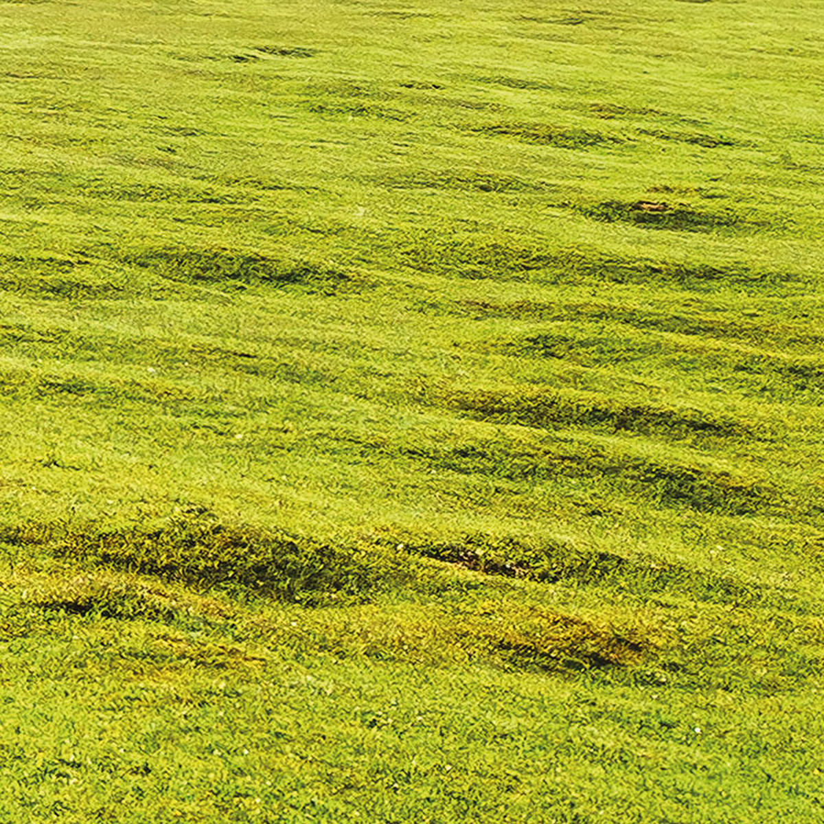 Komar Fototapete Bergwiese vor Karwendel B/L: ca. 450x280 cm Bergwiese vor Karwendel - (450,00/280,00cm) - Komar