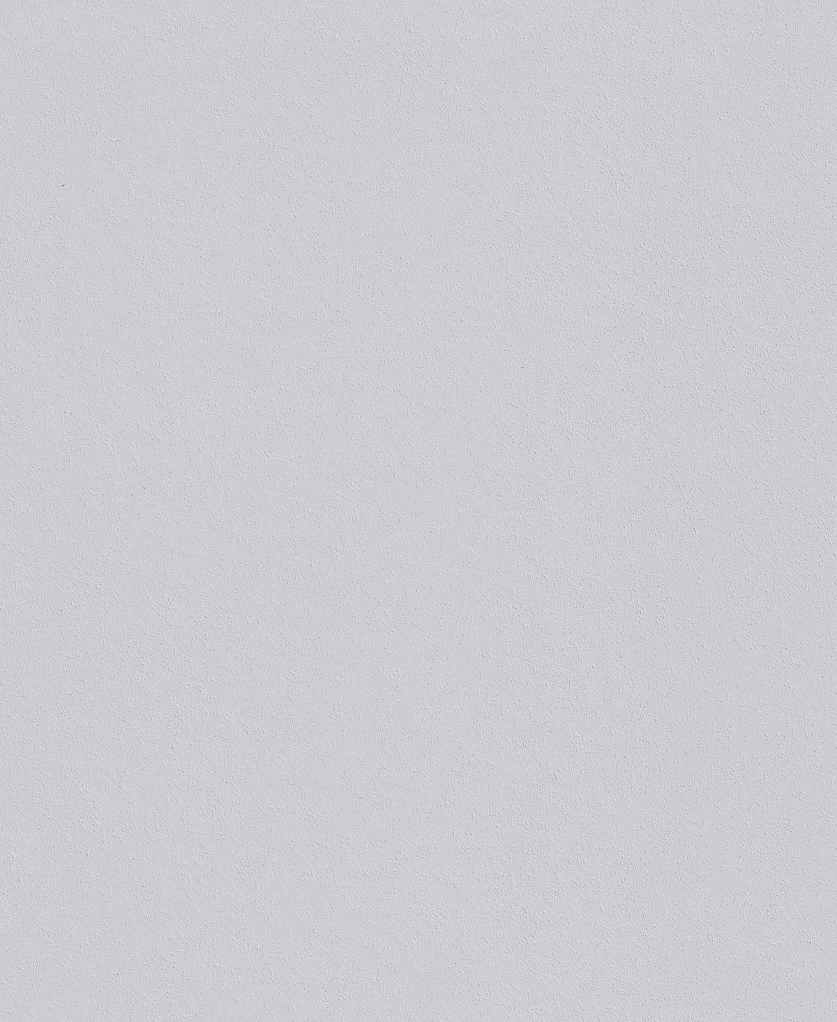 Erfurt Rauhfaser weiß B/L: ca. 53x1500 cm Vliesrauhfaser_Erfurt 15m Viva - weiß (53,00/1500,00cm) - Erfurt