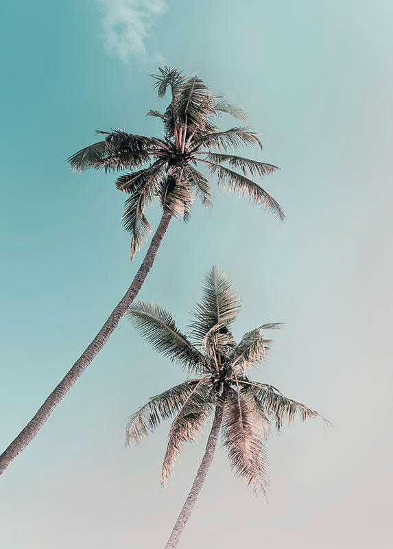 Komar Poster Miami Palms Palmen B/L: ca. 50x70 cm Miami Palms - (50,00/70,00cm) - Komar