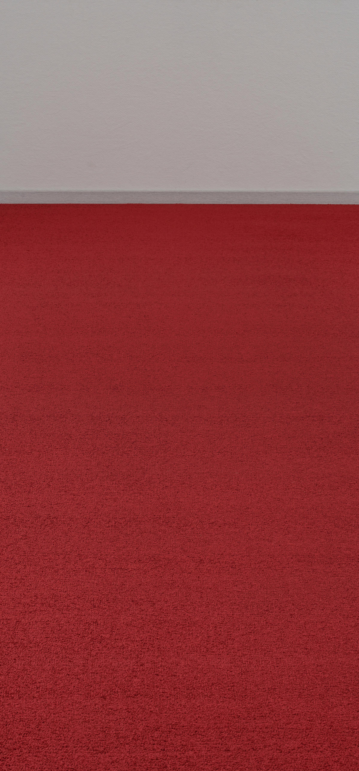 Teppichboden Memphis rot B: ca. 400 cm pro m² Memphis - rot (400,00cm)