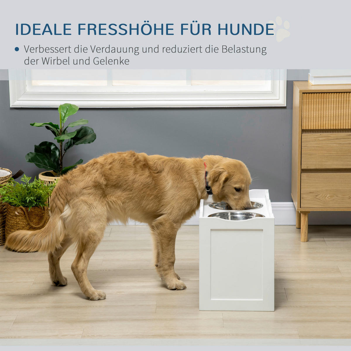 PawHut Hundenapf weiß Edelstahl B/H/L: ca. 30x38x63 cm Hundenapf - weiß (63,00/30,00/38,00cm) - PawHut