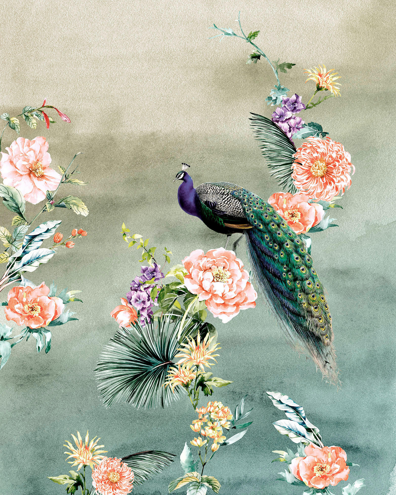 Komar Fototapete Pfau B/L: ca. 200x250 cm Pfau - (200,00/250,00cm) - Komar