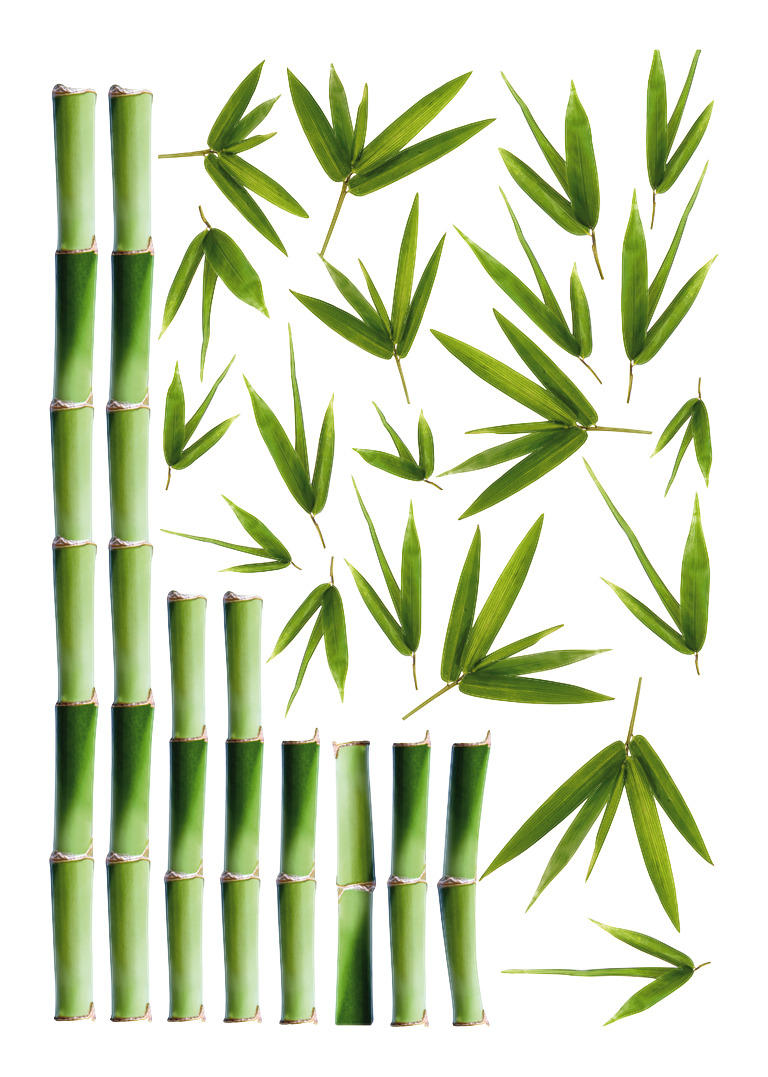 Dekosticker Bambus grün B/L: ca. 50x70 cm 2 tlg. Dekosticker Bambus - grün (50,00/70,00cm)