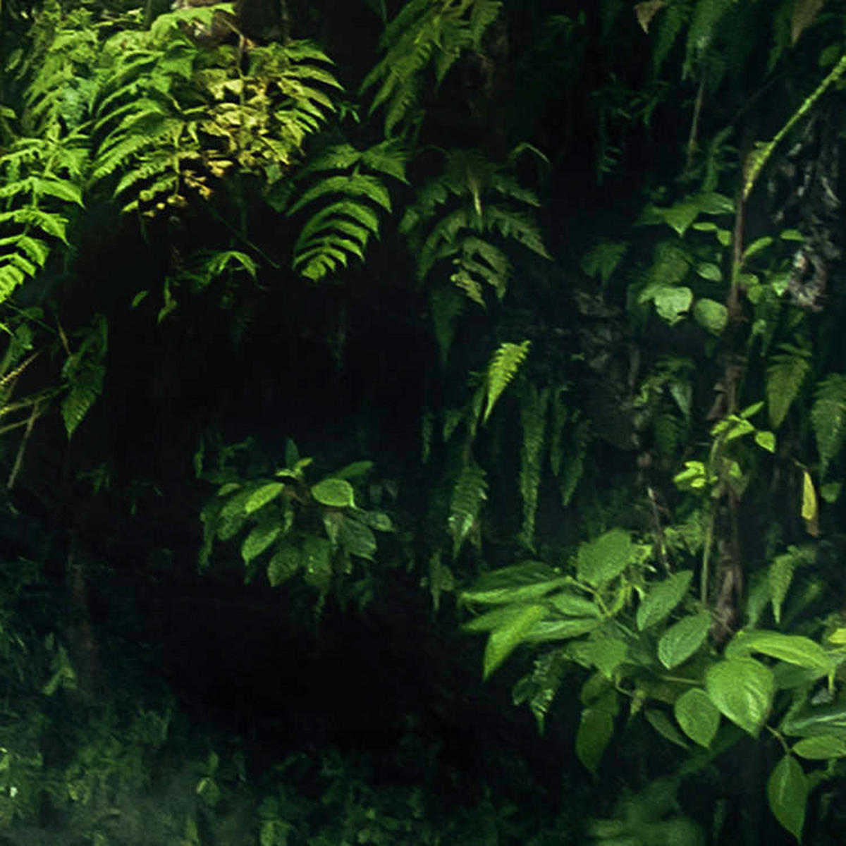 Komar Fototapete My Hidden Treasure B/L: ca. 400x250 cm My Hidden Treasure - (400,00/250,00cm) - Komar