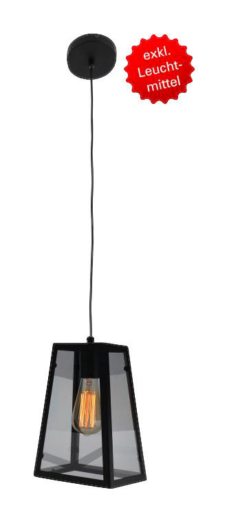 Näve Leuchten Pendelleuchte schwarz glasklar Metall Glas H: ca. 150 cm E27 1 Brennstellen Alex - schwarz/glasklar (150,00cm) - Näve Leuchten