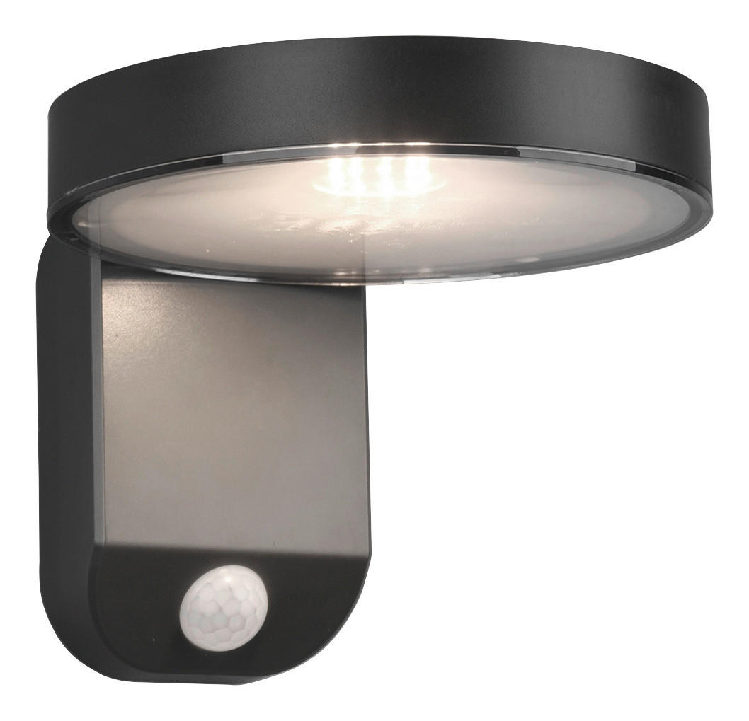 Außenwandleuchte R22251142 anthrazit B/H: ca. 15x12 cm Posadas - anthrazit (15,00/12,00cm) - Reality