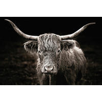Keilrahmenbild Tiere B/H: ca. 90x60 cm Keilrahmenbild 60x90 cm - grau (90,00/60,00cm)