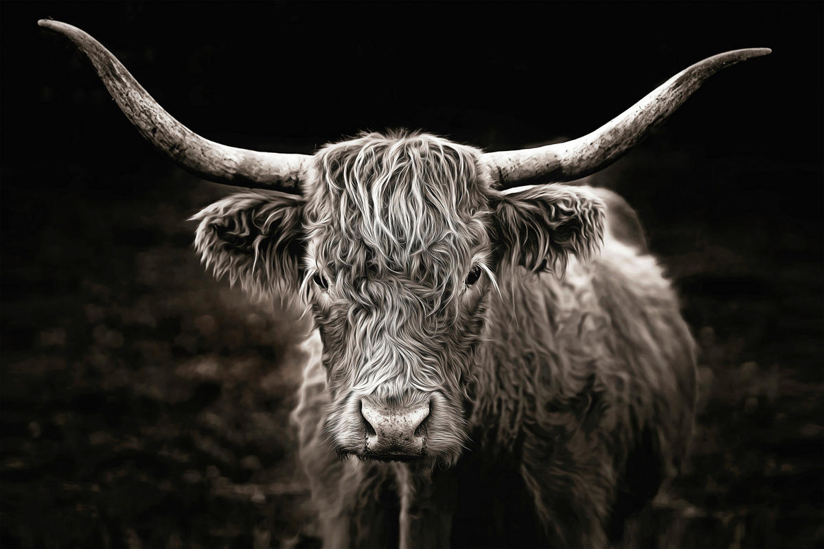 Keilrahmenbild Tiere B/H: ca. 90x60 cm Keilrahmenbild 60x90 cm - grau (90,00/60,00cm)