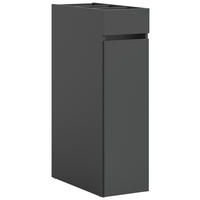 Anstellregal Free anthrazit B/H/T: ca. 29x101x60 cm Free - anthrazit (29,00/101,00/60,00cm) - xonox.home
