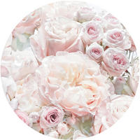 Komar Fototapete Pink and Cream Roses D: ca. 125 cm Pink and Cream Roses - (125,00cm) - Komar