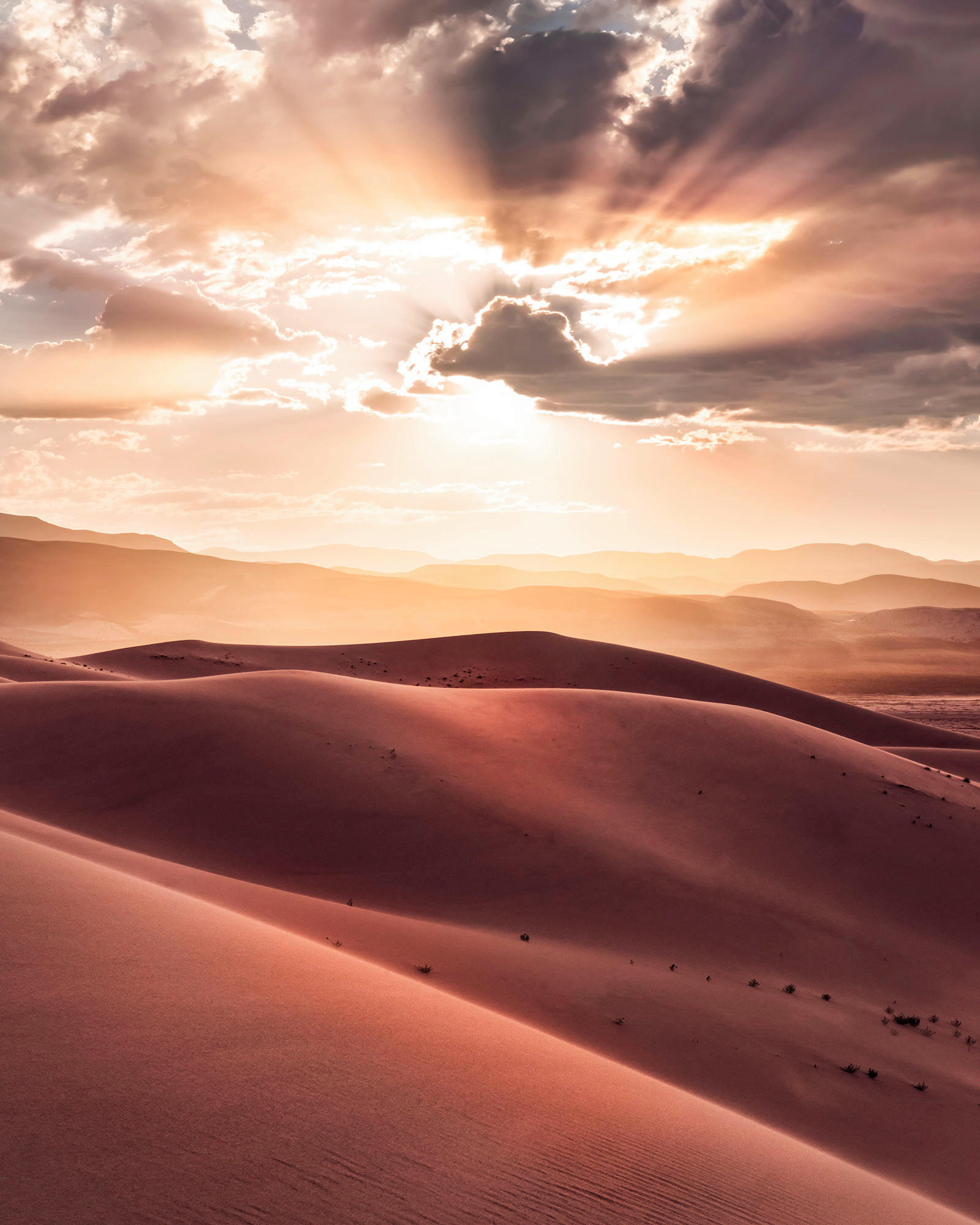 Komar Fototapete God Rays B/L: ca. 200x250 cm God Rays - (200,00/250,00cm) - Komar