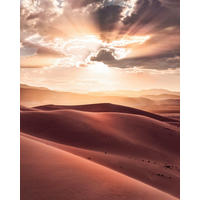 Komar Fototapete God Rays B/L: ca. 200x250 cm God Rays - (200,00/250,00cm) - Komar