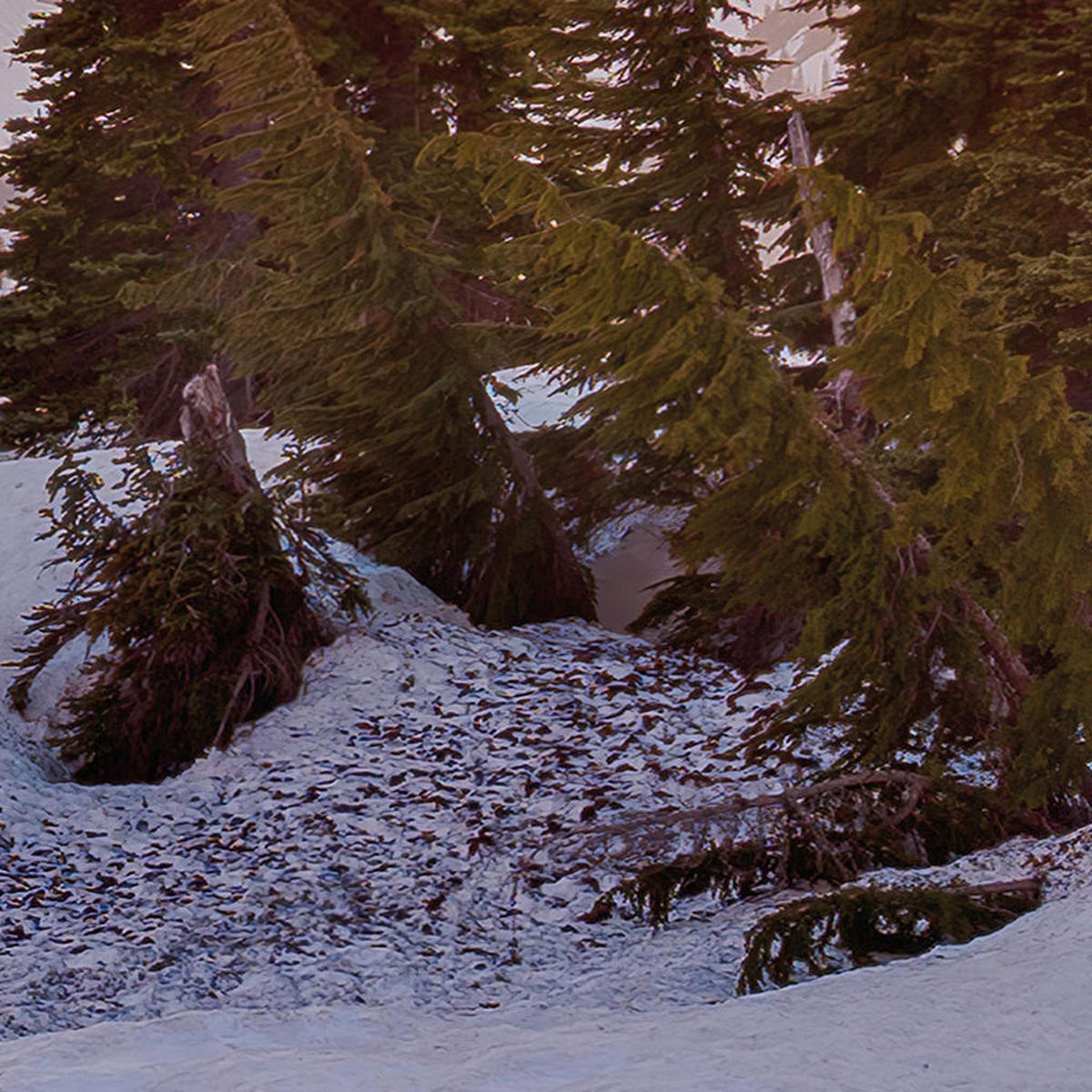 Komar Fototapete America the Beautiful B/L: ca. 450x280 cm America the Beautiful - (450,00/280,00cm) - Komar