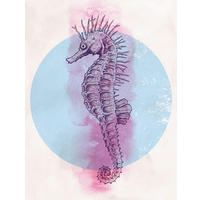 Komar Poster Sea Horse Circle Tiere B/L: ca. 30x40 cm Sea Horse Circle - (30,00/40,00cm) - Komar