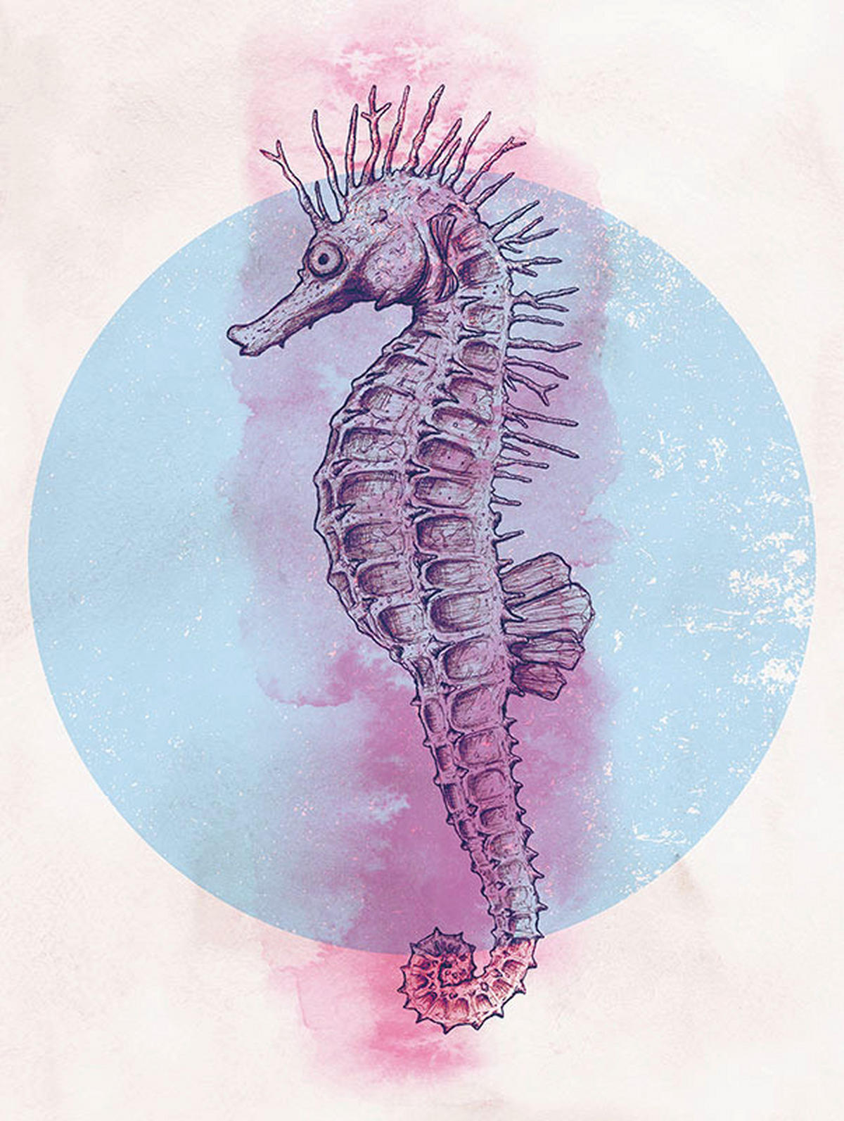 Komar Poster Sea Horse Circle Tiere B/L: ca. 30x40 cm Sea Horse Circle - (30,00/40,00cm) - Komar