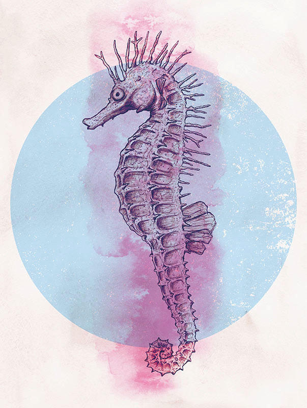 Komar Wandbild Sea Horse Circle Tiere B/L: ca. 30x40 cm günstig online kaufen