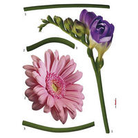 Komar Wandtattoo Fiore Blumen Fiore B/L: ca. 50x70 cm Fiore - (50,00/70,00cm) - Komar