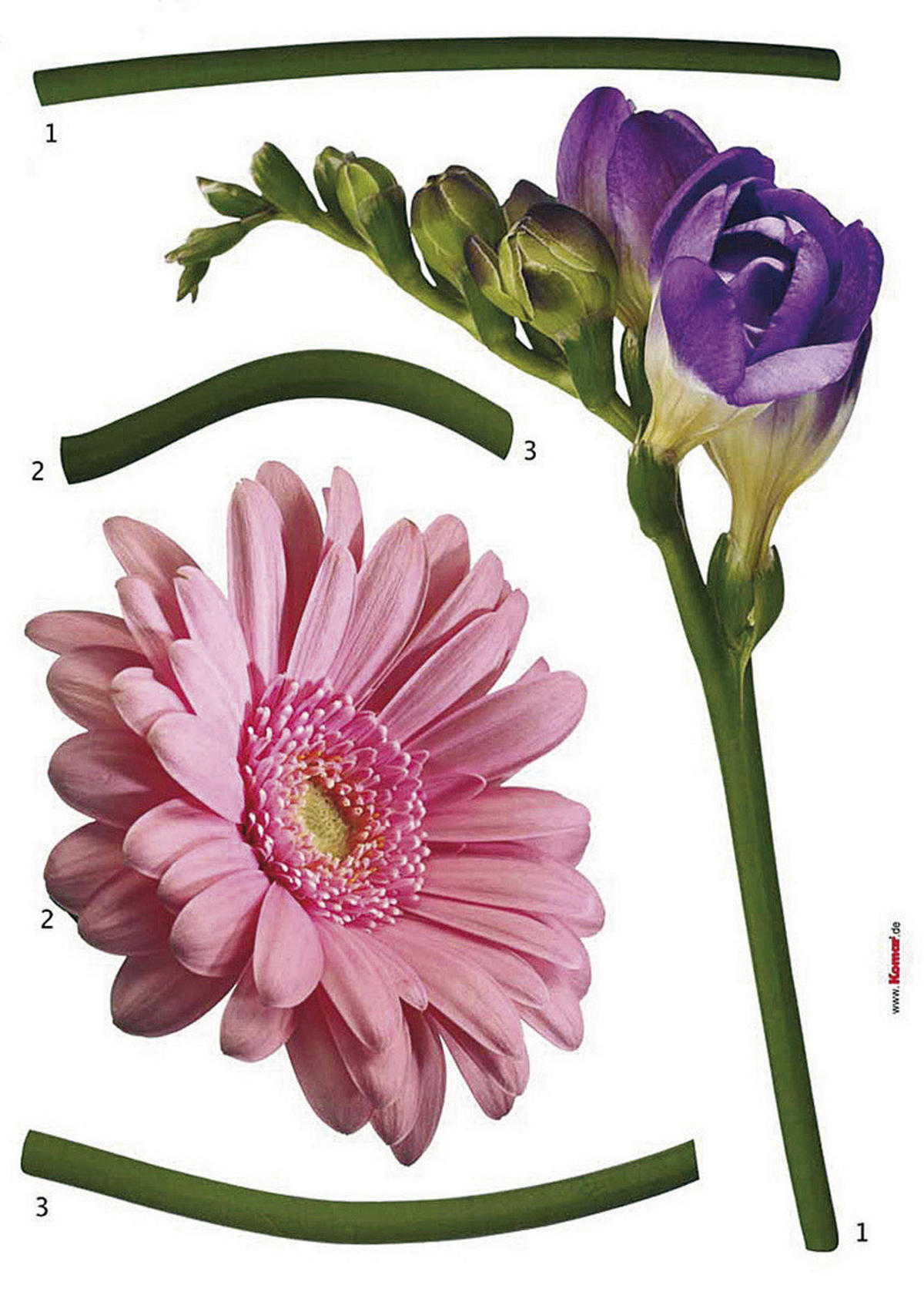 Komar Wandtattoo Fiore Blumen Fiore B/L: ca. 50x70 cm Fiore - (50,00/70,00cm) - Komar