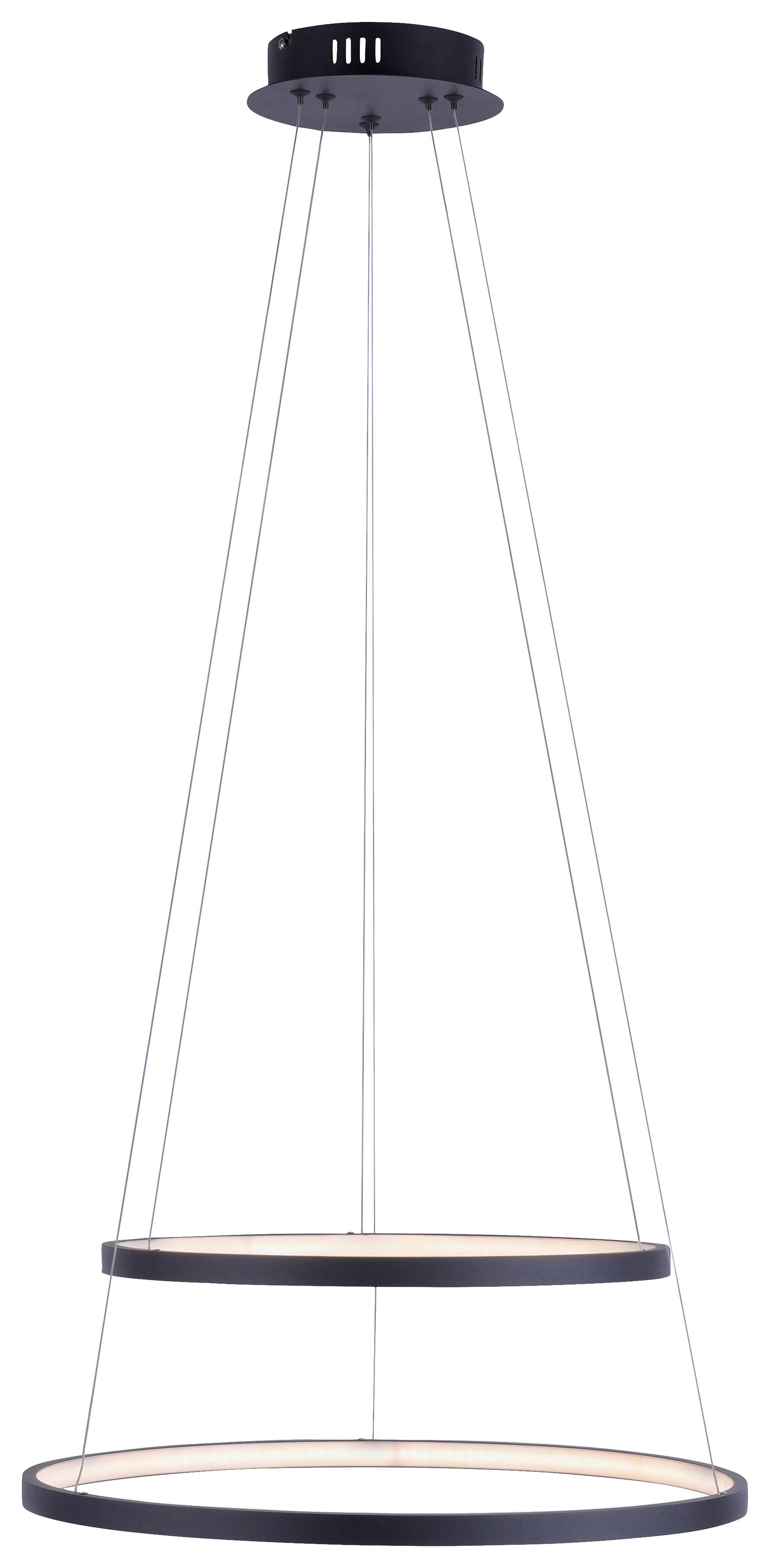 Just Light LED-Pendelleuchte CIRCLE 11525-13 weiß anthrazit Metall Kunststoff H/D: ca. 120x50 cm 2.0 Brennstellen CIRCLE - weiß/anthrazit (50,00/120,00cm) - Just Light