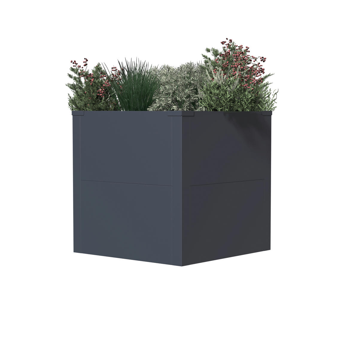 Westmann Pflanzkasten Talus anthrazit Metall B/H/L: ca. 50x50x50 cm Talus - anthrazit (50,00/50,00/50,00cm) - Westmann