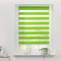 Doppelrollo Duo grün B/L: ca. 90x150 cm Duo - grün (90,00/150,00cm) - LICHTBLICK