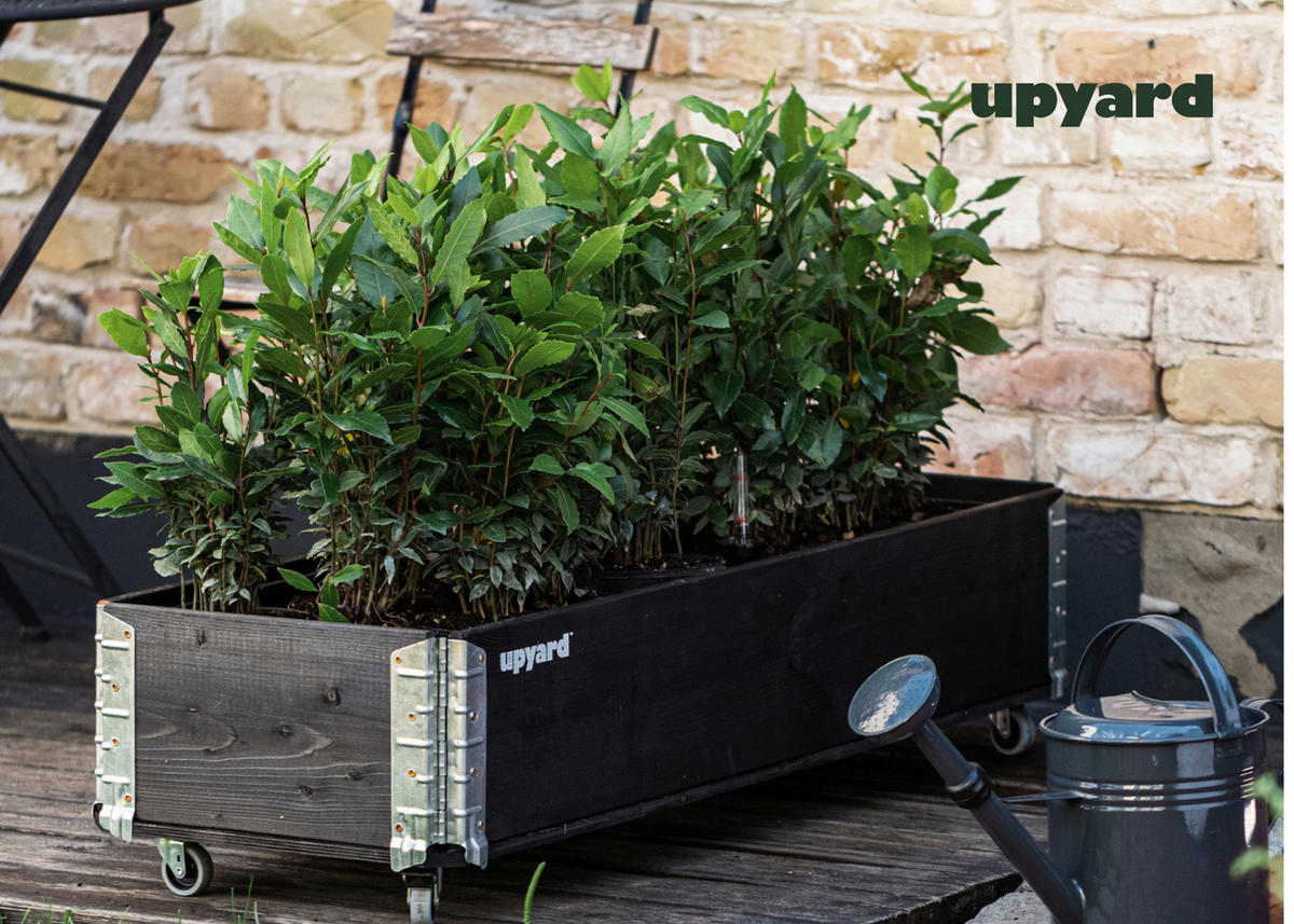 UPYARD Kräuterkasten INDUSTRIAL schwarz Holz B/L: ca. 30x80 cm INDUSTRIAL - schwarz (30,00/80,00cm) - UPYARD