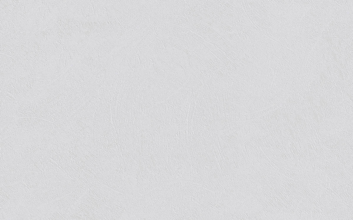 Erfurt Vliestapete Basic Basic weiß B/L: ca. 53x1005 cm Basic - weiß (53,00/1005,00cm) - Erfurt