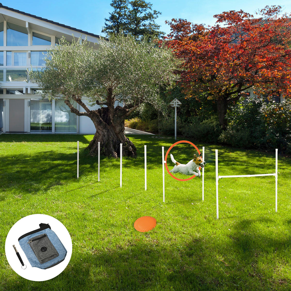 PawHut Haustier-Zubehör weiß PVC B/H/L: ca. 4x91x90 cm Agiliy-set_für_Haustiere - blau/weiß (90,00/4,00/91,00cm) - PawHut