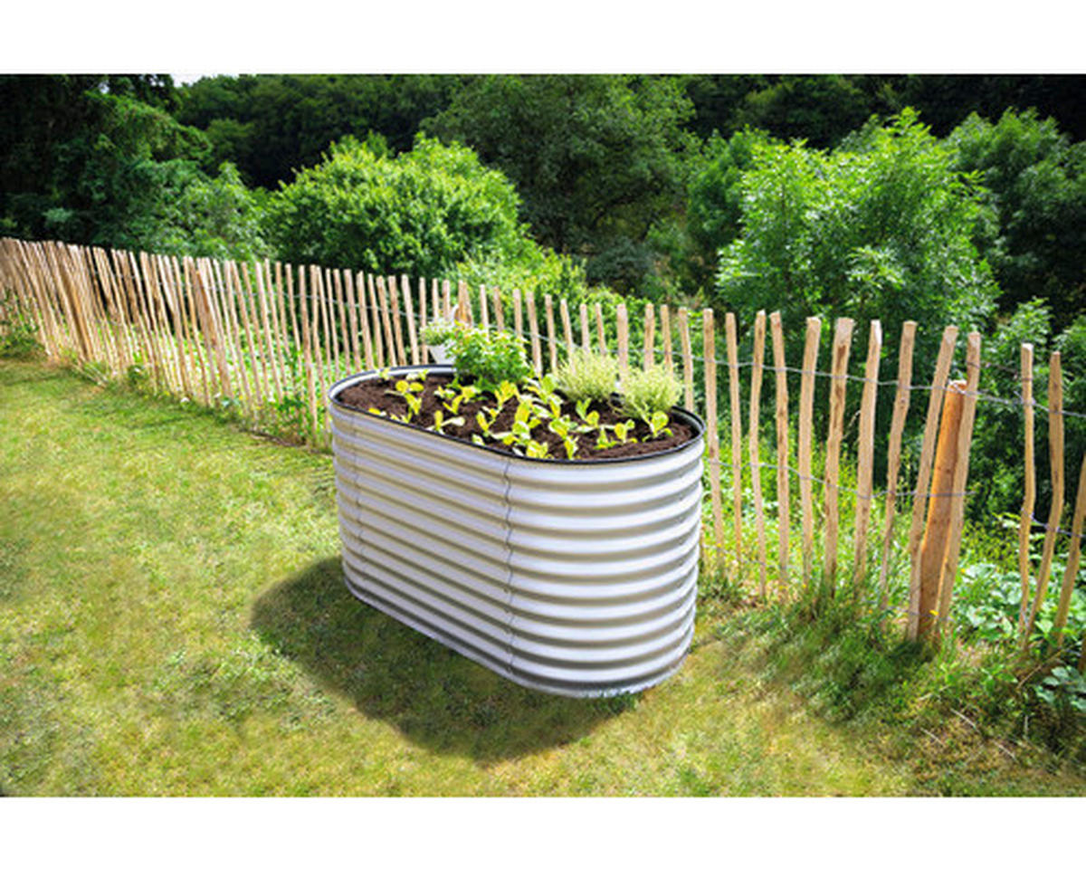 Westmann Hochbeet Oval silber Metall B/H/L: ca. 80x82x160 cm Oval - silber (160,00/80,00/82,00cm) - Westmann