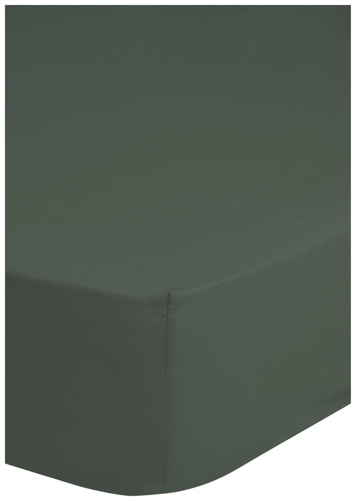 Baumwoll Spannbetttuch Satin Spannbetttuch-Satin 180x220cm - grün (180,00/220,00cm) - HIP