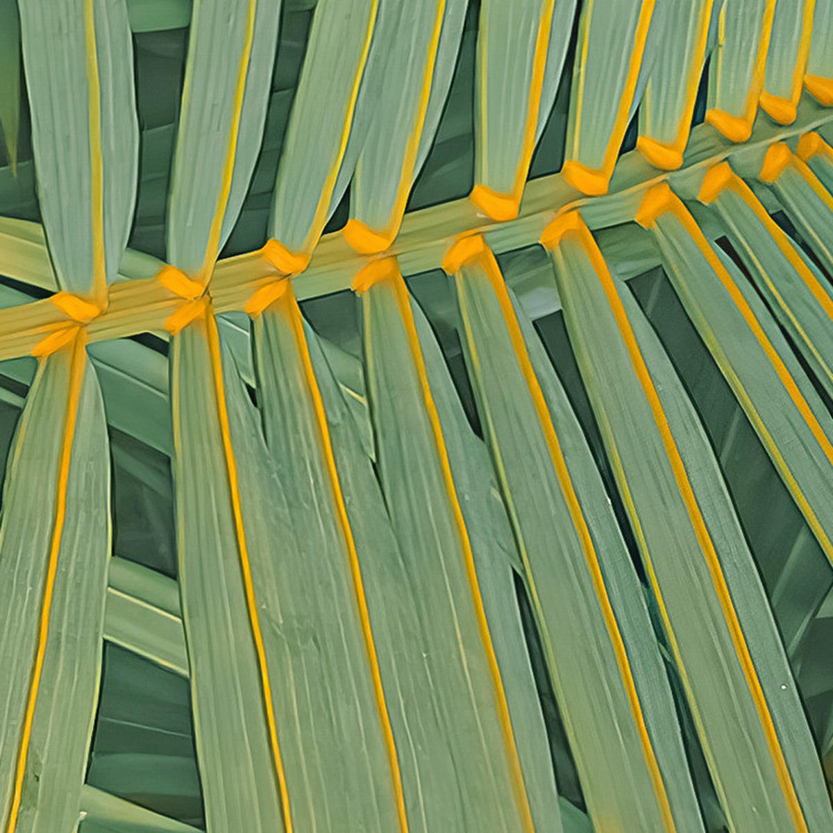 Komar Fototapete Neon Fern B/L: ca. 200x250 cm Neon Fern - (200,00/250,00cm) - Komar