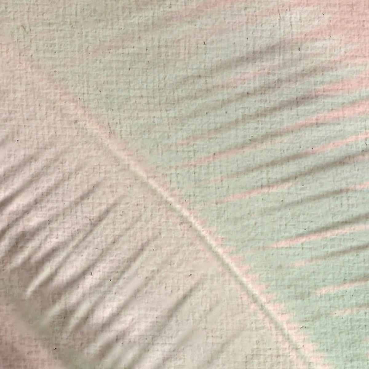 Komar Fototapete Vague Botany B/L: ca. 200x250 cm Vague Botany - (200,00/250,00cm) - Komar