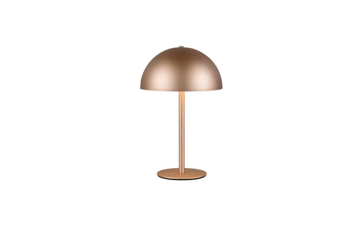Reality LED Tischleuchte MUNOZ kaffee Metall H: ca. 21 cm 1 Brennstellen Munoz - kaffee (21,00cm) - Reality