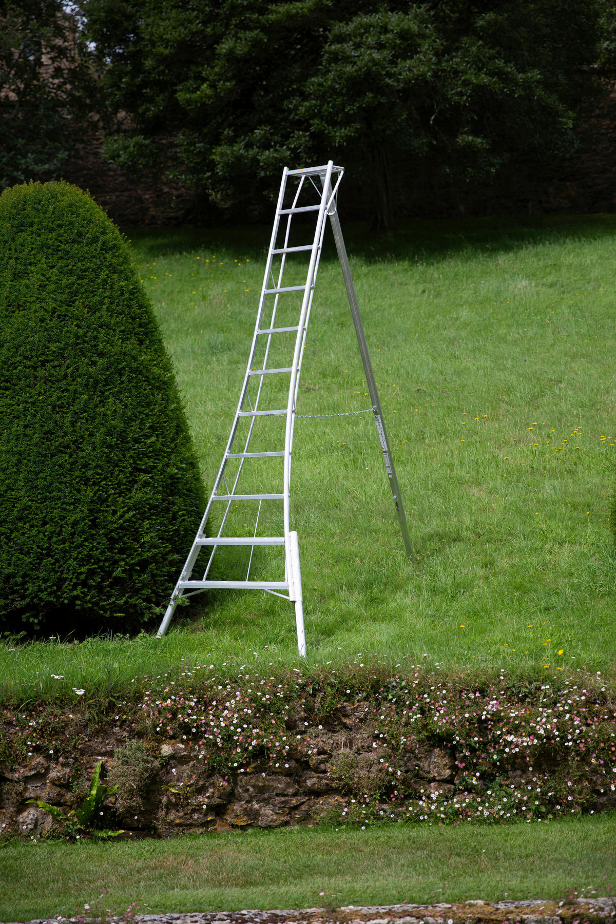 Niwaki Gartenleiter 3-Holm 3-Holm silber B/H/T: ca. 128x330x248 cm 3-Holm - silber (128,00/330,00/248,00cm) - Niwaki