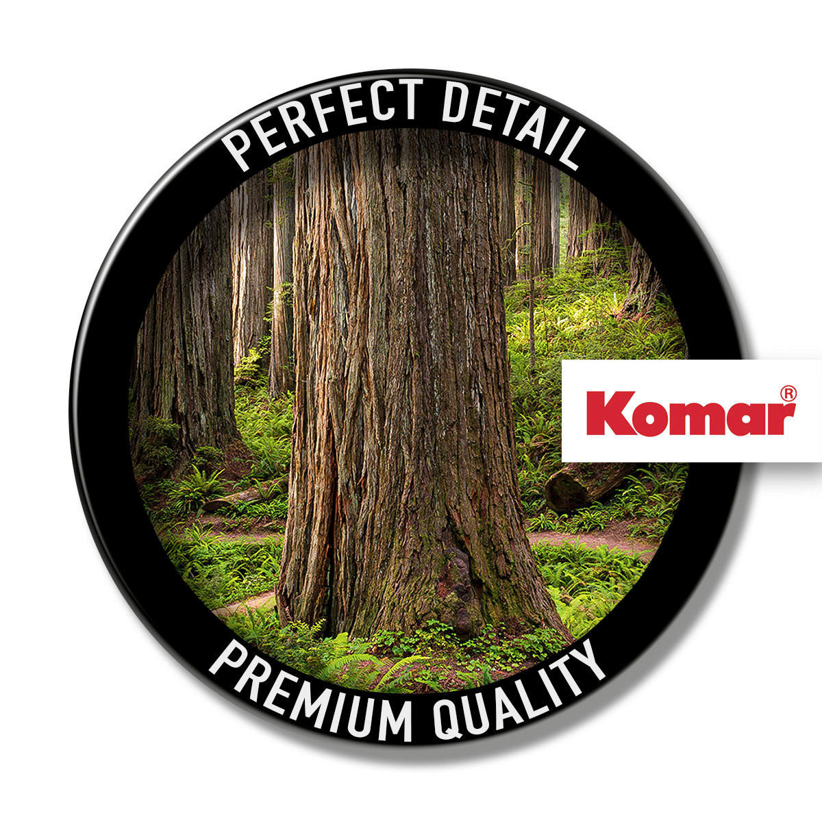 Komar Fototapete Redwood Trail B/L: ca. 450x280 cm Redwood Trail - (450,00/280,00cm) - Komar
