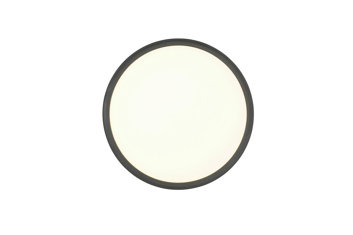 Reality Leuchten LED-Deckenleuchte schwarz Kunststoff B/H: ca. 29x3 cm LED-Deckenleuchte_Joko - schwarz (29,00/3,00cm) - Reality Leuchten