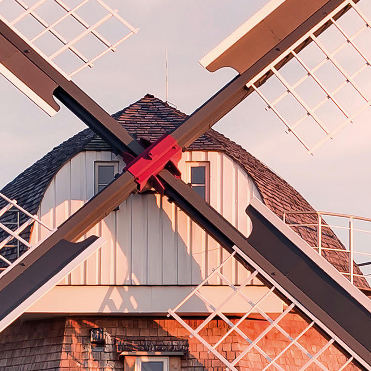 Komar Fototapete Tage wie Diese B/L: ca. 450x280 cm Tage wie Diese - (450,00/280,00cm) - Komar