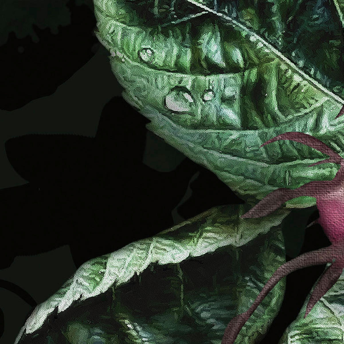 Komar Fototapete Victoria Black B/L: ca. 400x250 cm Victoria Black - (400,00/250,00cm) - Komar