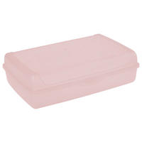 keeeper Click-Box pink B/H/L: ca. 20x8x30 cm Click-Box_maxi_Luca - pink (30,00/20,00/8,00cm) - keeeper