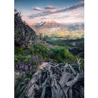 Komar Fototapete Flowering Tales B/L: ca. 200x280 cm Flowering Tales - (200,00/280,00cm) - Komar