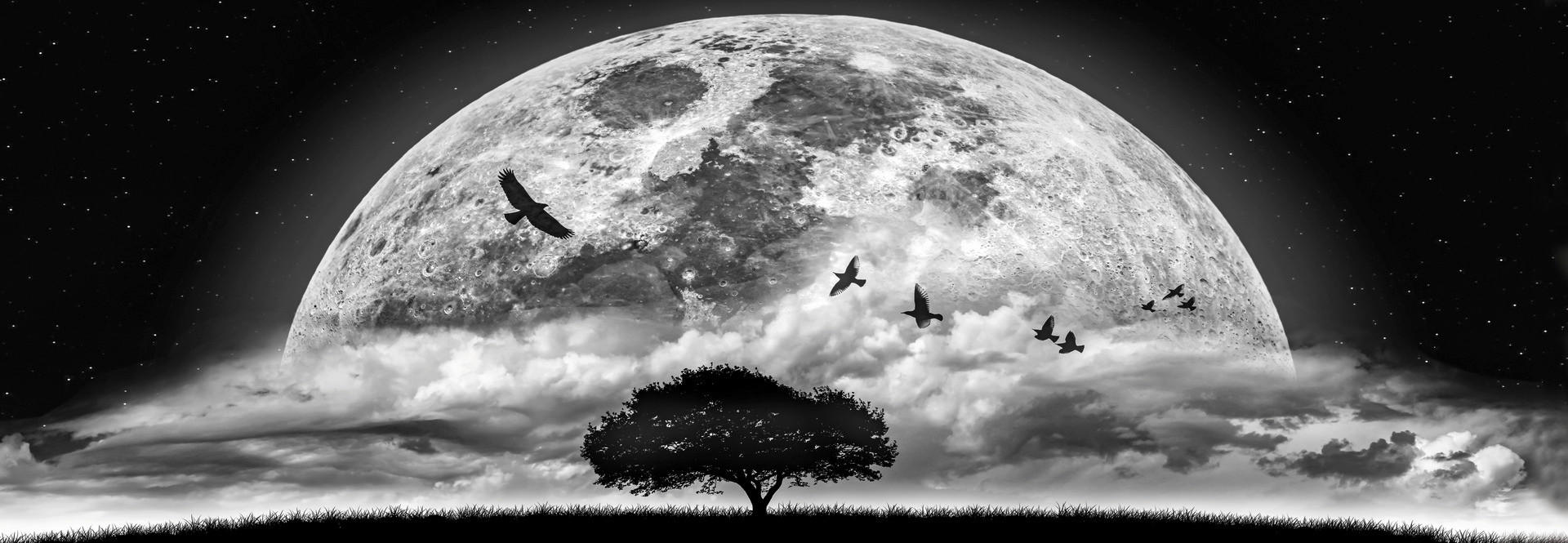 The Wall Wandbild Mondschein B/L: ca. 53x155 cm Bild_Deko_Panel - (53,00/155,00cm) - The Wall