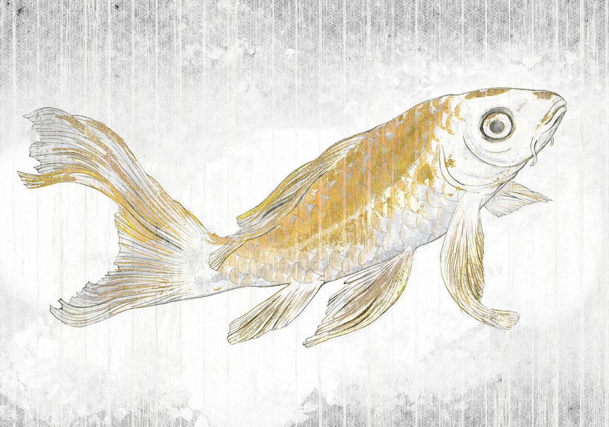 Komar Fototapete Golden Koi B/L: ca. 400x280 cm Golden Koi - (400,00/280,00cm) - Komar