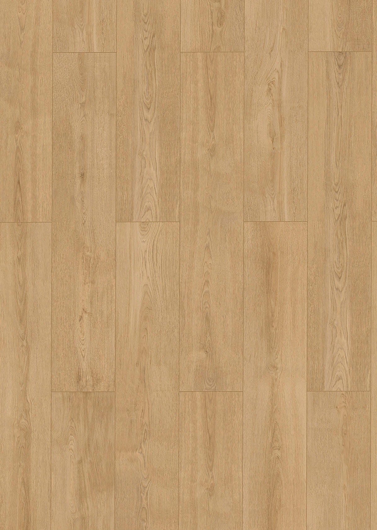 Click-Vinylboden Eiche elegant ca. 2,538 m² im Paket  B/L: ca. 24,6x129 cm pro Paket Eiche elegant ca. 2,538 m² im Paket - natur (24,60/129,00cm)