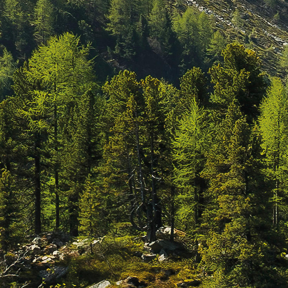 Komar Fototapete Bergmagie B/L: ca. 450x280 cm Bergmagie - (450,00/280,00cm) - Komar