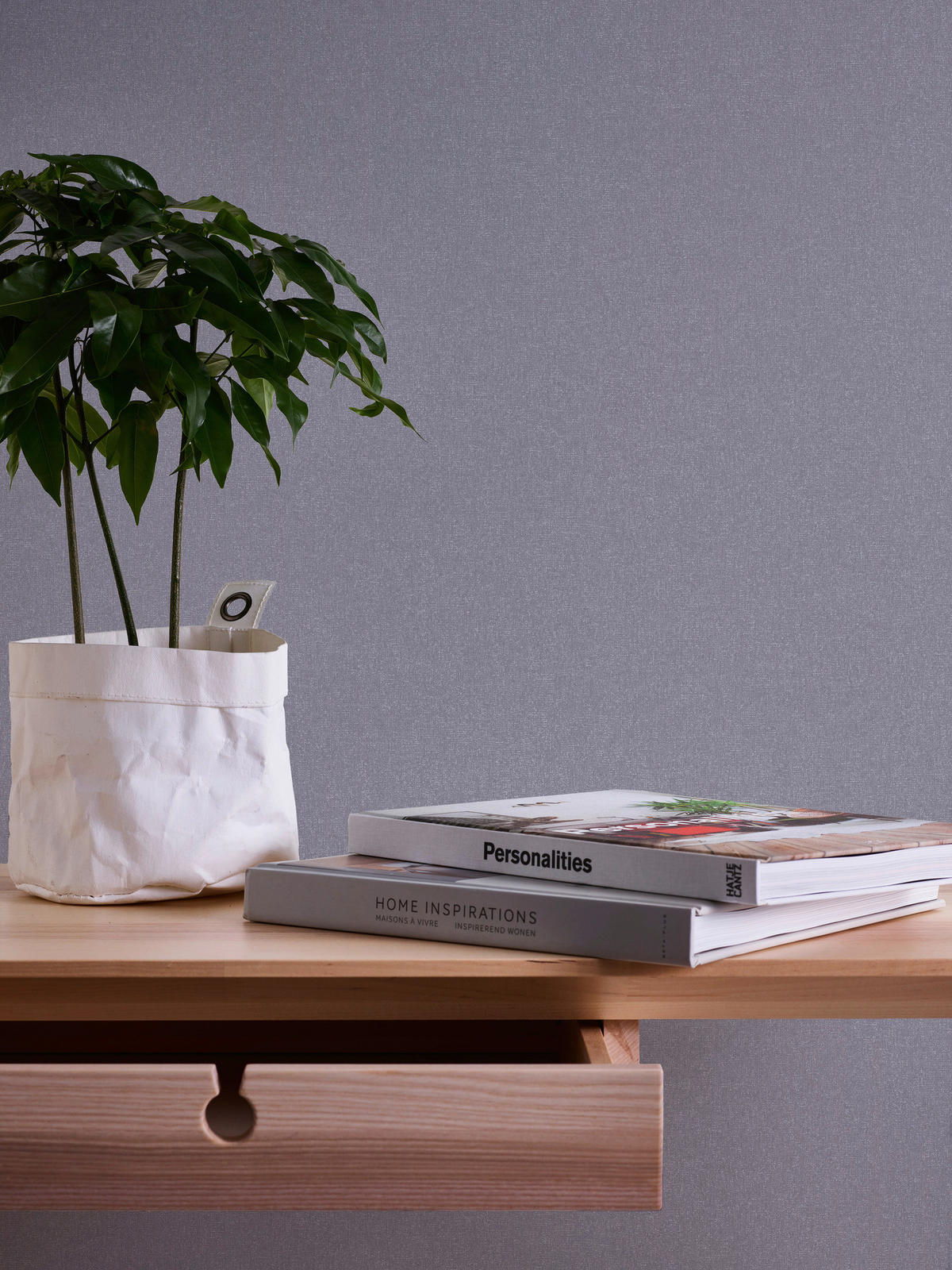 A.S.Creation Vliestapete Terra Uni grau B/L: ca. 53x1005 cm Terra - grau (53,00/1005,00cm) - A.S.Creation