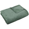 Wohndecke Flanell Flanelldecke Kreise mint - mint (140,00/200,00cm)